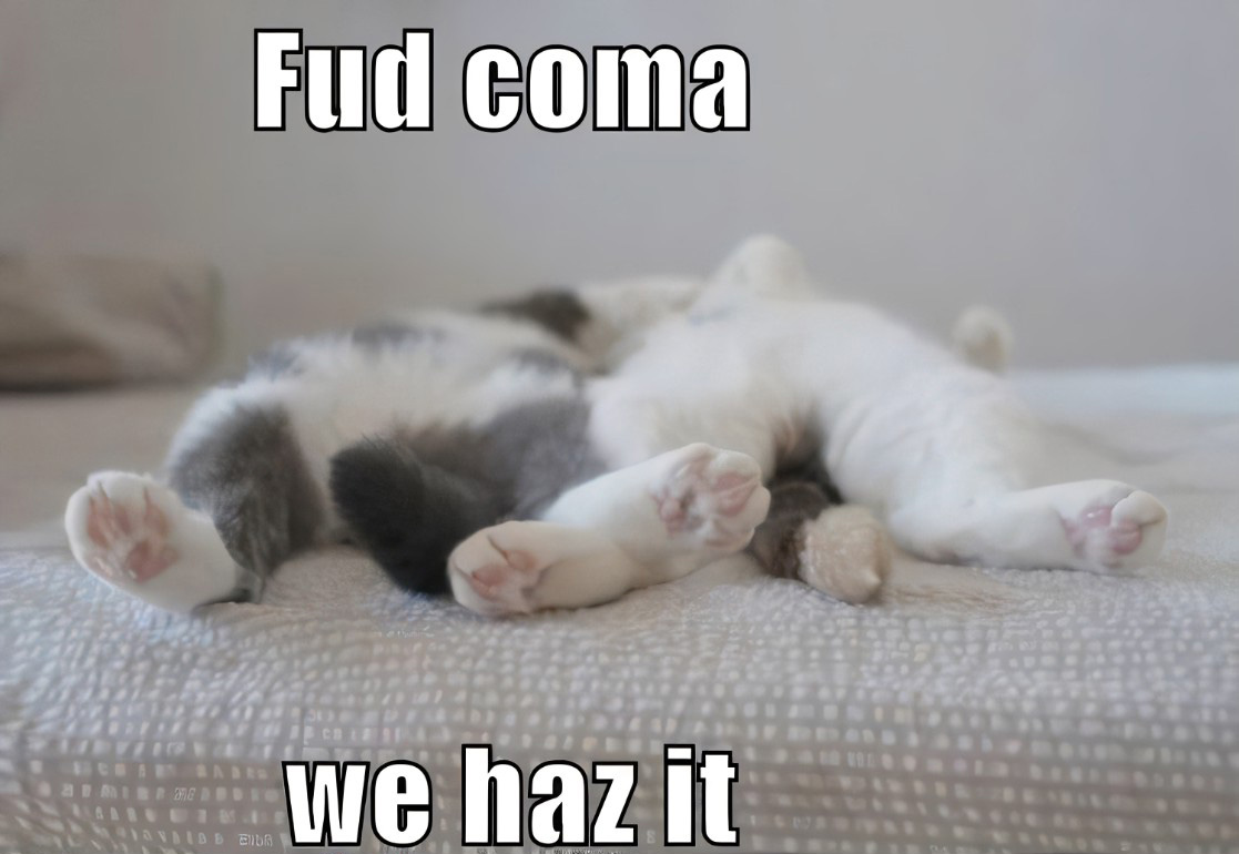 Break Iddam - #Puma Founder : Dayachesi ila Pama, Coma, Upma 🍚, Pamu 🐍  ani perlu petti maa peru spoil cheyyakandi.. Don't spoil us.. I am telling  that 😂💥 #BreakIddam | Facebook, image size:1117x770